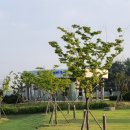 한울공원 화장실 이미지