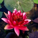 들꽃산장 이미지