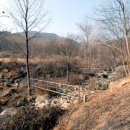 상주 운평리 구상화강암 이미지