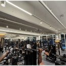 셀럽피트니스 | 오송운동 완벽한 운동 공간, 셀럽피트니스 후기