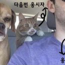 홍천자동차학원 이미지