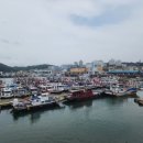 정감치과의원 이미지