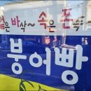 붕붕호두 이미지