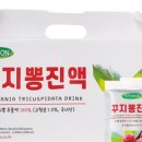 토토원 이미지