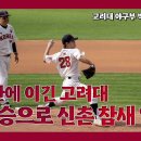 [2024정기고연전] ⚾️ : 완봉승으로 신촌 참새들 다 잡아버리고 왔습니다.고려대학교 야구부 이미지