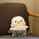 쌍교커피 이미지
