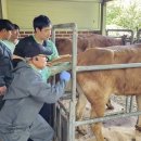 축산연구소 이미지