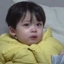 개성가든 네이버블로그