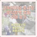 [W10-4] 고속터미널 꽃시장 웨딩촬영 안개꽃부케 &amp; 헤어변형용 생화 구매 후기, 가격