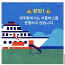 제주 렌트카 운전면허증 없이 엔젤카 셔틀 내돈내산 후기 반납 꿀팁