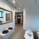 벌거벗은 고양이 이미지