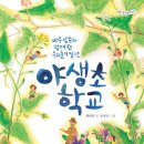야생초