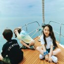 워터라이프 이미지