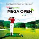 메가투어주