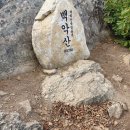 2019년 6월2일- 제694차 춘천 푸른 산악회 괴산 백악산 정기산행 이미지