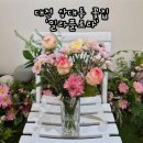 밝은빛 태권도 | 대전 상대동 꽃집 '밀라플로라' 화병꽂이 원데이클래스 후기