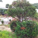 김종선농장 이미지