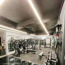Gym BX4 이미지