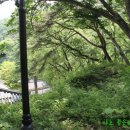 파워스팟 Daum카페