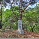약사산 이미지