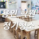 돌핀크린 이미지