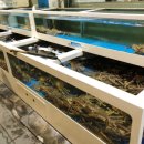 왕대박대게파티 이미지