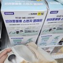 다이소 추천템 쿨매트, 강아지 스펀지·겔타입 쿨매트 후기