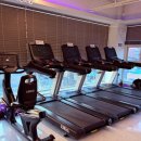 더 스카이짐 정발산점 이미지