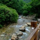 피서지추천 ] 경기도 양평 용문사 계곡 추천 여름 여행 이미지