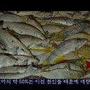 바다자원 이미지
