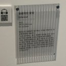 2019-주108 | [서울] 더현대서울, 앨리스 달튼 브라운 회고전 &lt;잠시, 그리고 영원히&gt; 전시 후기, 서울9월전시회