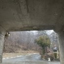 별빛정원어린이집 이미지