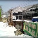 도계전두시장 이미지