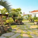 스테이 소예 | 조용한 제주 독채펜션, 스테이소예 게스트가 남긴 솔직 후기