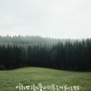 더 푸른 이미지