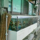 남한강매운탕 이미지