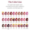 6월 올영세일 추천템, 나의 위시리스트 모음