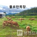 풀로만목장 네이버블로그