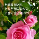 우동한그릇 이미지