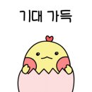 콩볶는드래곤 이미지
