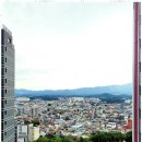김양기공인중개사사무소 | 강릉부동산 김양기 공인중개사사무소에서 찾은 부동산 성공의 비밀