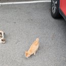 마성영업소 이미지