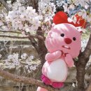 봄이 왔나 봄 | 🚗 토레스에게도 봄이 왔나 봄.