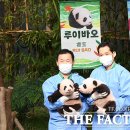 쌍둥이사진관 이미지