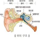 귀파다가 피 나거나 고막 걱정될 때 바른 대응 이미지