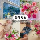 [당진 꽃집] 6. 윤이 정원에서 200일 셀프 촬영 후기ㅣ달항아리 센터피스로 감성 폭발