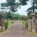 송미로 Daum카페