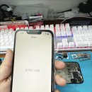 [폰119] 울산아이폰액정수리 후기, 가성비 넘치는 꼼꼼한 곳 찾고 계신다면?