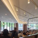 대전 짬뽕맛집 둔산동 중국집 [짬뽕관] 모임장소로 제격