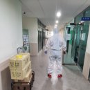 전북대학교사범대학부설고등학교 | 해충방역!! 전북대학교 사범대학 부설고등학교 사대부고!!